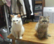200707052310000.jpg