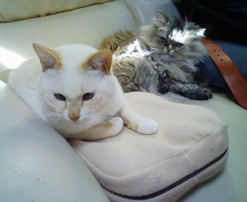 20071117144702.jpg