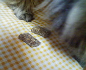 20080204230001.jpg
