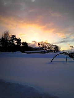 20110119071404.jpg